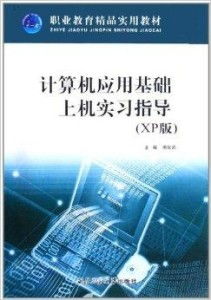 職業(yè)教育精品實用教材 計算機(jī)應(yīng)用基礎(chǔ)上機(jī)銷售指南