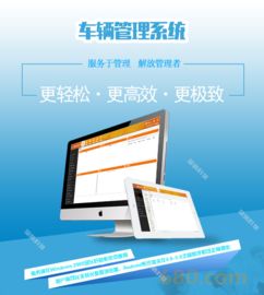 車輛管理系統(tǒng) 二次升級(jí)開發(fā)定制軟件